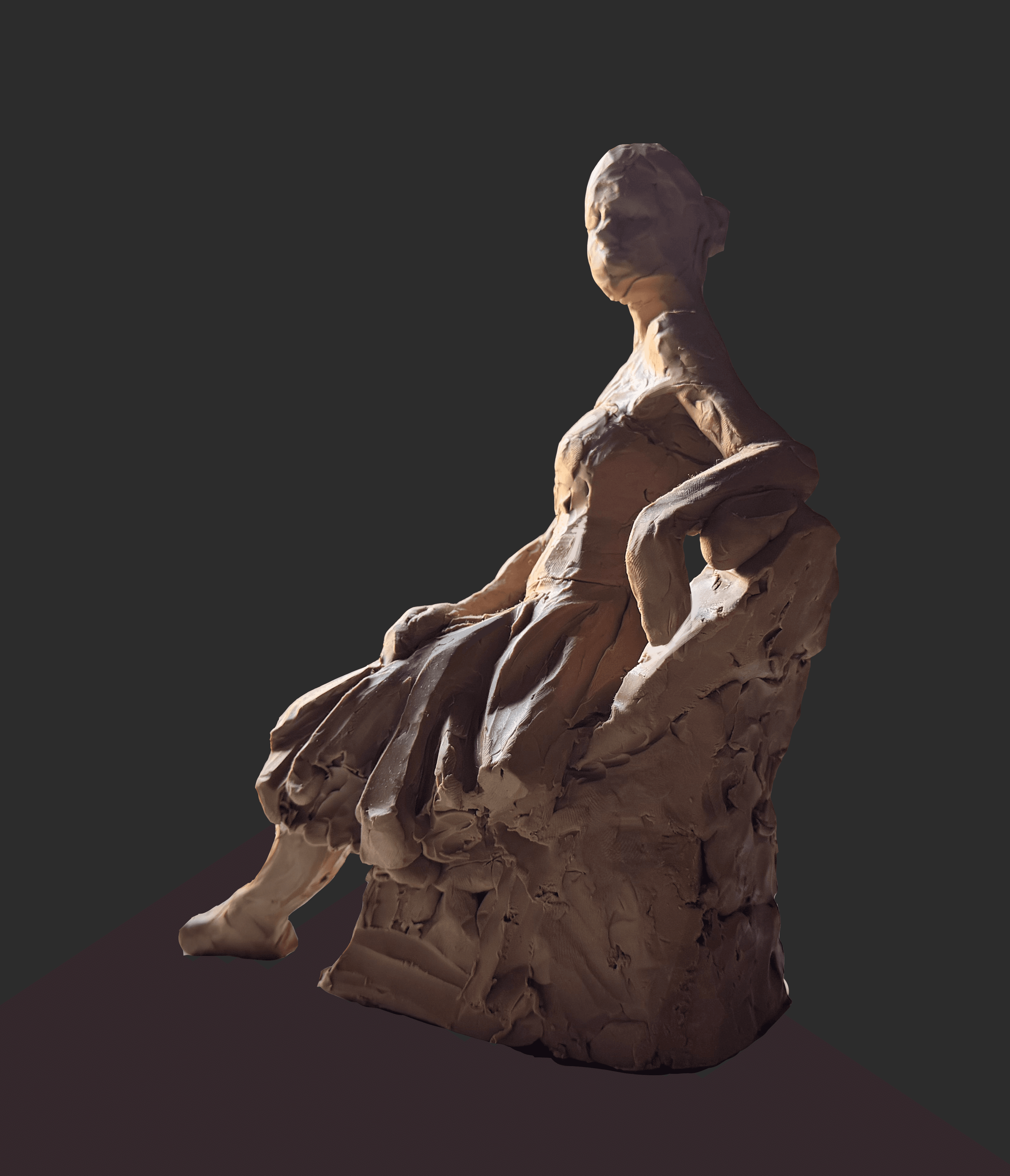 Anatomy