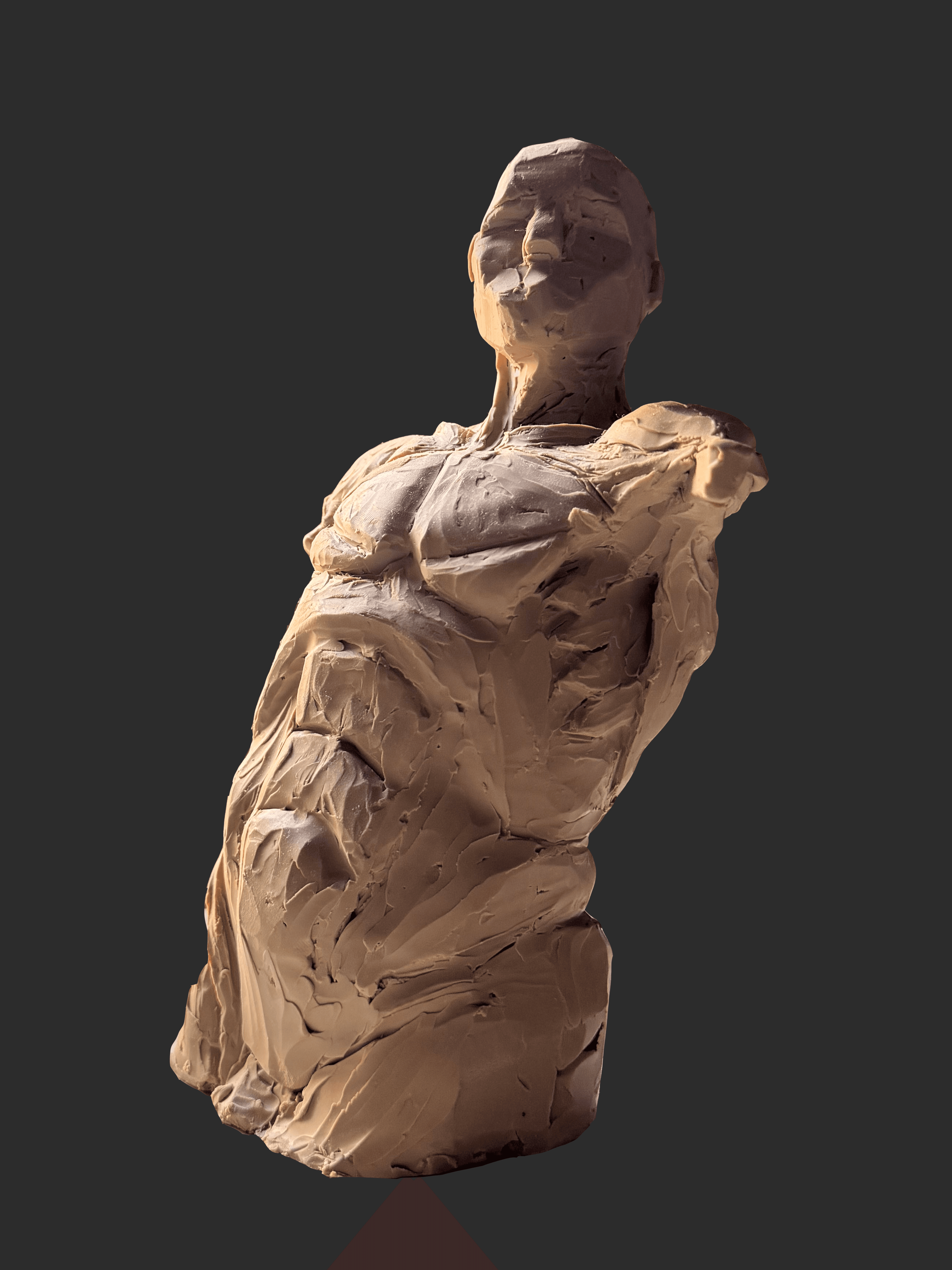 Anatomy